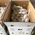 China garlic supply in small pack 1kg , best quality normal white garlic export